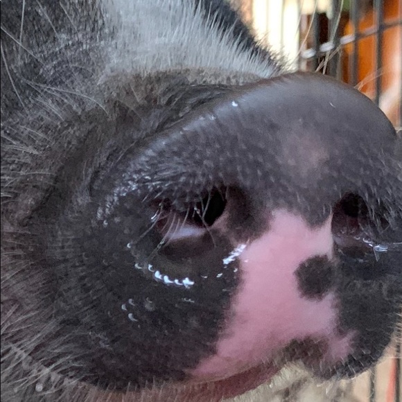 Meet your Posher, Tina - Picture 8 of 10